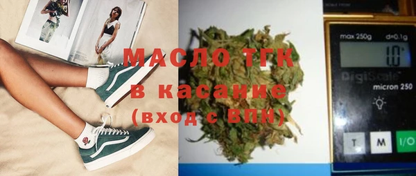 хмурый Аркадак
