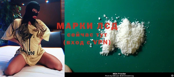 хмурый Аркадак