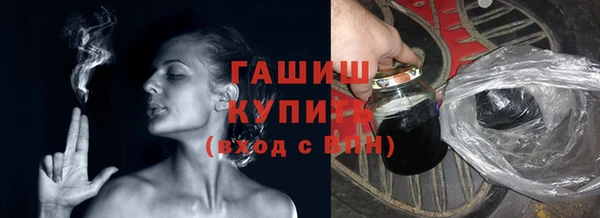 хмурый Аркадак