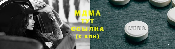 хмурый Аркадак