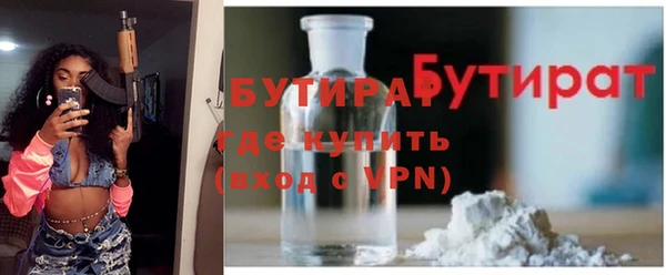 хмурый Аркадак
