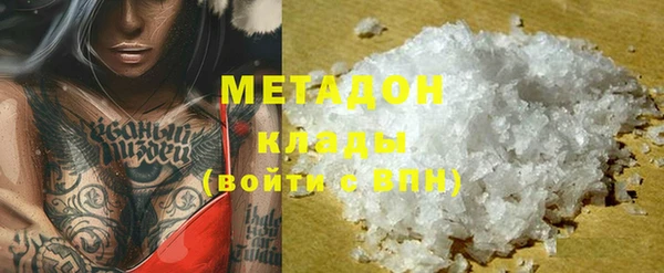 хмурый Аркадак