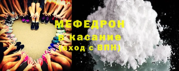 хмурый Аркадак