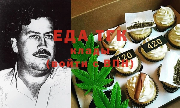 хмурый Аркадак