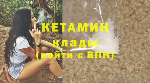 хмурый Аркадак