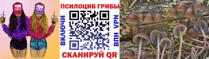 Галлюциногенные грибы прущие грибы Феодосия